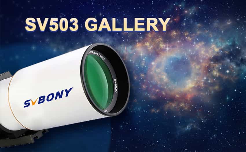 SV503 Gallery Part 2