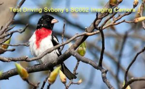 Test Driving Svbony’s SC002 Imaging Camera doloremque
